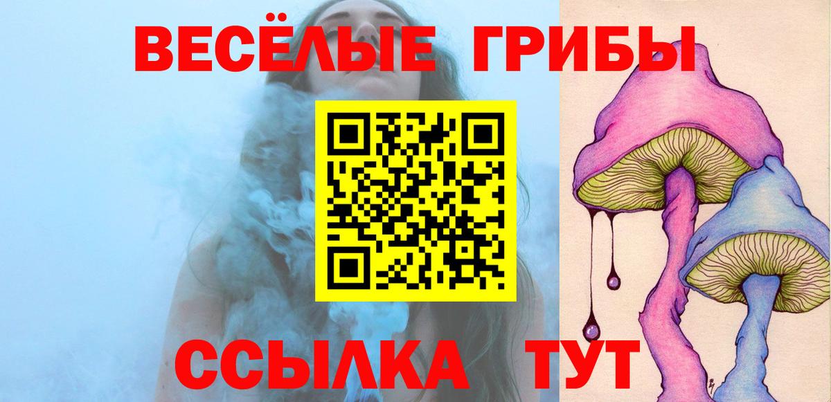 закладки  Вход с VPN  Кольчугино  Псилоцибиновые грибы MAGIC MUSHROOMS 